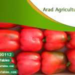 Buy bell peppers in Russia + Arad agriculture
