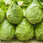 White cabbage wholesale market